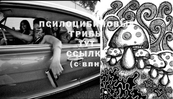 кристаллы Краснослободск