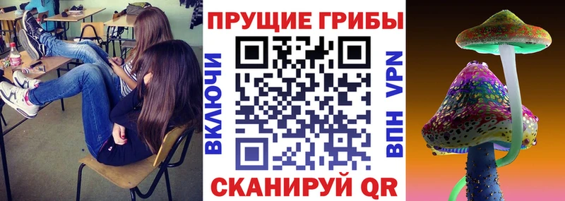 Псилоцибиновые грибы Magic Shrooms  Купить  Комсомольск 